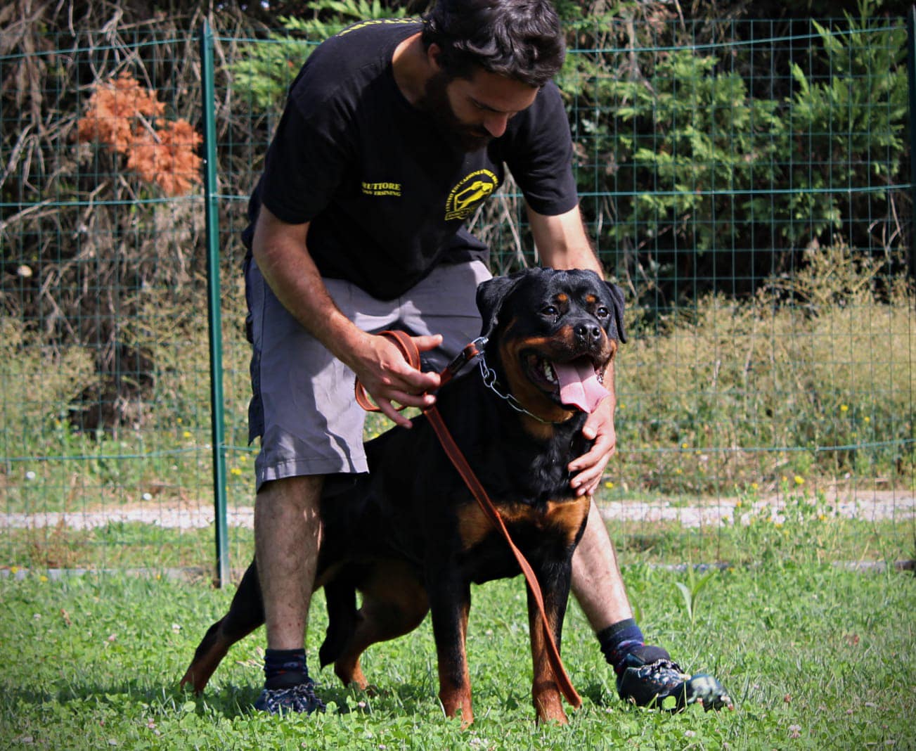 Rumba Valarti femmina di Rottweiler riproduttrice selezionata ENCI. In possesso di test di salute, prove di lavoro superate, titoli espositivi.