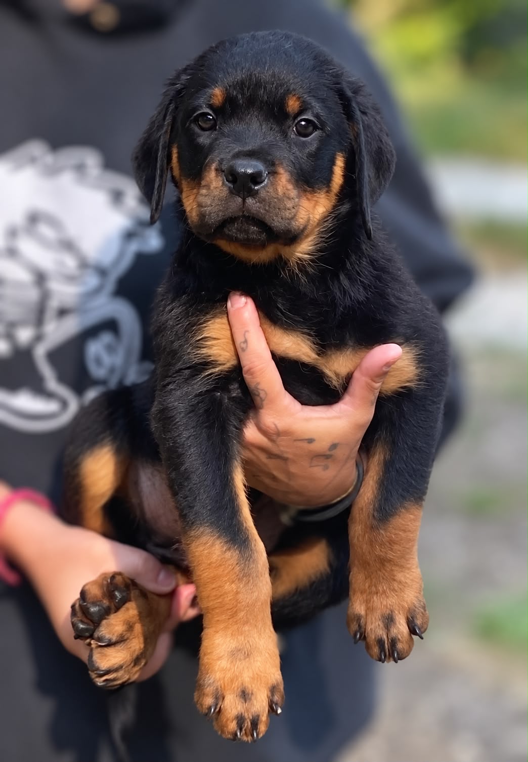 Elzar